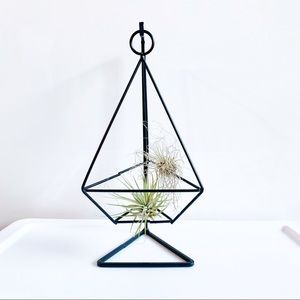 Geometric Air Plant Stand